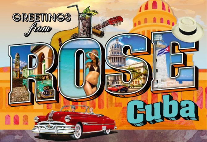 Rose Cuba